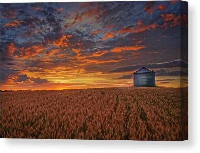 Barley Canvas Print featuring the photograph Ready for Harvest by Dan Jurak