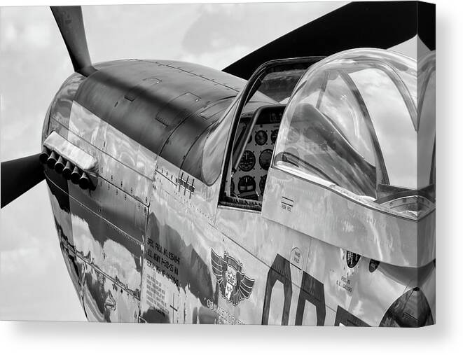 Mustang Canvas Print featuring the photograph Ready to Fight by Chris Buff