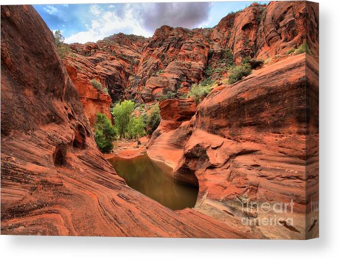 Red Cliffs Canvas Print featuring the photograph Red Cliffs Waterhole by Adam Jewell