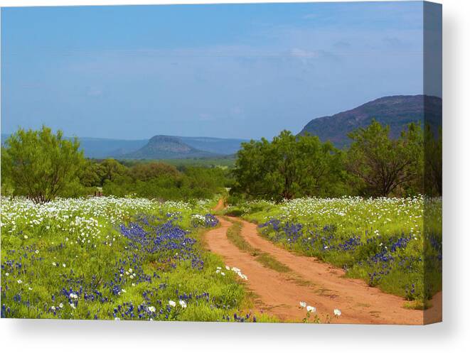 Willow City Loop Canvas Print featuring the photograph Red Dirt Road With Wild Flowers by Brian Kinney
