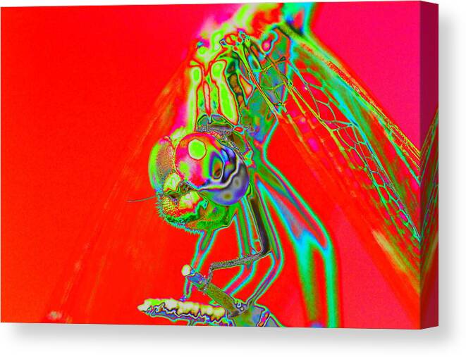 Pop Art Canvas Print featuring the photograph Red Dragon by Richard Patmore