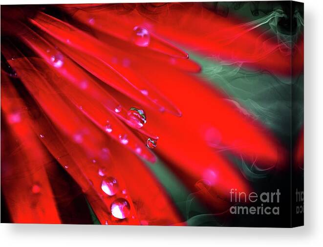 Flowers Canvas Print featuring the photograph Red droplets by Yumi Johnson