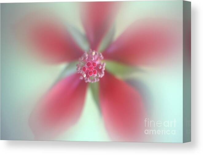 Abstract Canvas Print featuring the photograph Red Macro Floral Art by Ella Kaye Dickey