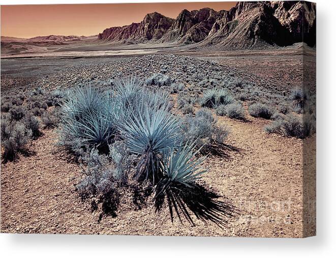 Red Rock Canyon Canvas Print featuring the photograph Red Rock Canyon Overview In Infrared by Norman Gabitzsch
