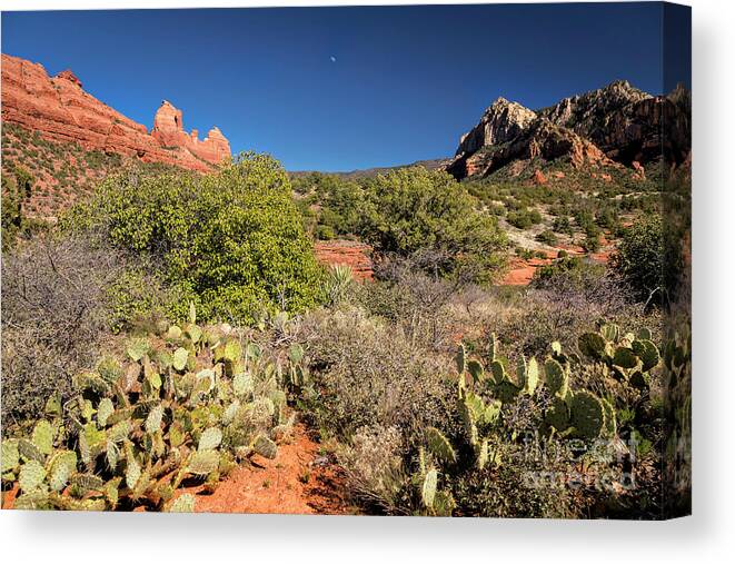 Arizona Canvas Print featuring the photograph Red Rocks Of Sedona 4 by Timothy Hacker