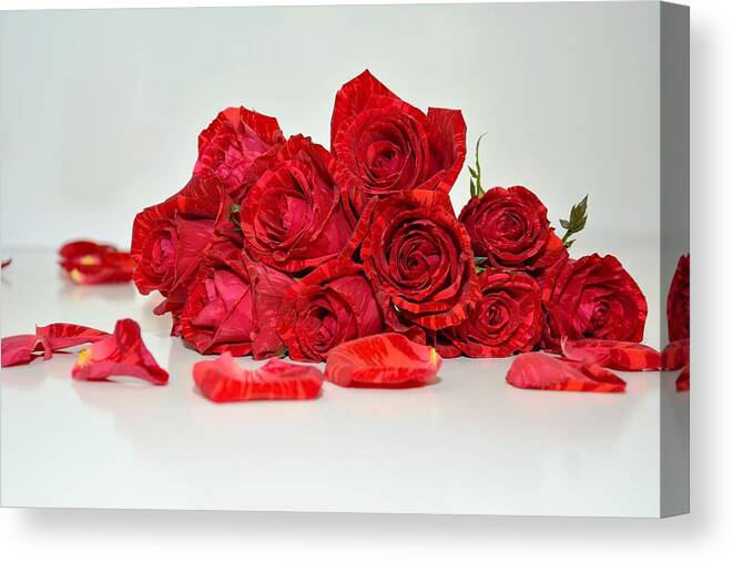 Alcohol Canvas Print featuring the photograph Red Roses And Rose Petals by Serena King