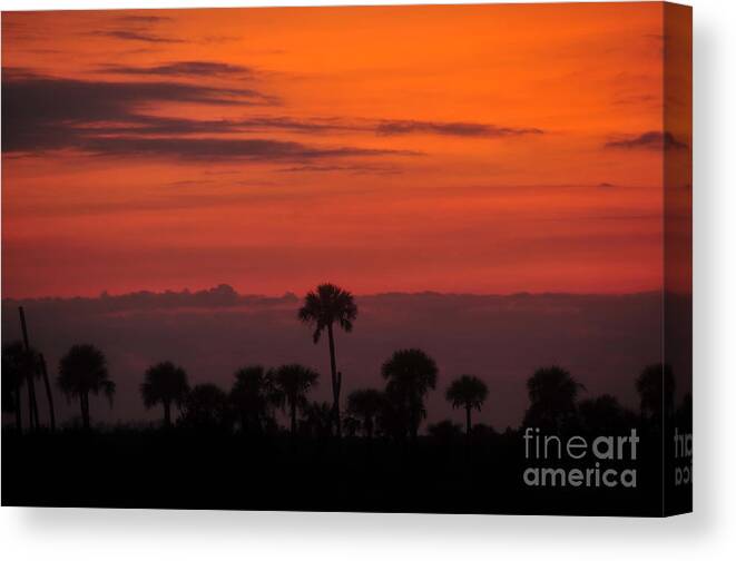Big Cypress National Preserve Canvas Print featuring the photograph Red Sky by David Lee Thompson