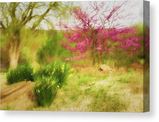 Muskogee Canvas Print featuring the photograph Redbud and Daffodils by James Barber
