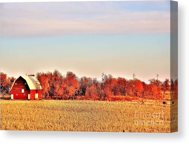 Barn Canvas Print featuring the photograph Reds and Oranges by Merle Grenz
