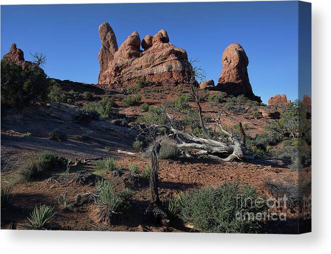 Utah Landscape Canvas Print featuring the photograph Twisted Garden by Jim Garrison