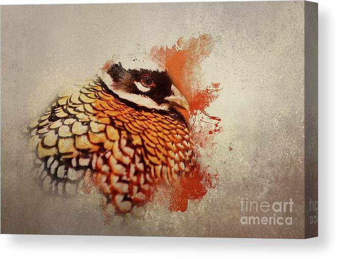 Reeve's Pheasant Canvas Print featuring the mixed media Reeve's Pheasant by Eva Lechner