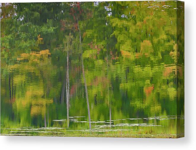 Gary Hall Canvas Print featuring the photograph Reflection on Muskrat Pond by Gary Hall