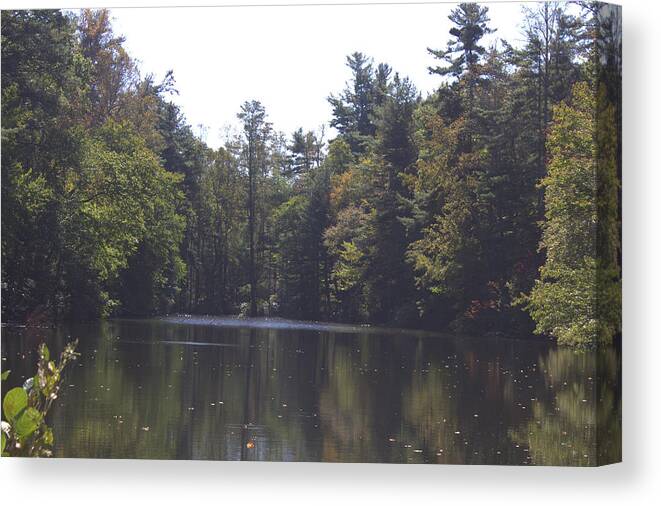 Lake Canvas Print featuring the photograph Reflections by Ali Baucom