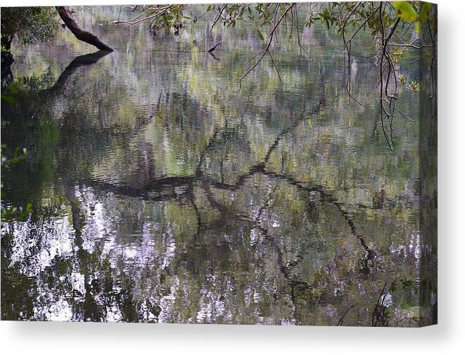 Reflections Over Homosassa Springs Canvas Print featuring the photograph Reflections Over Homosassa Springs by Warren Thompson
