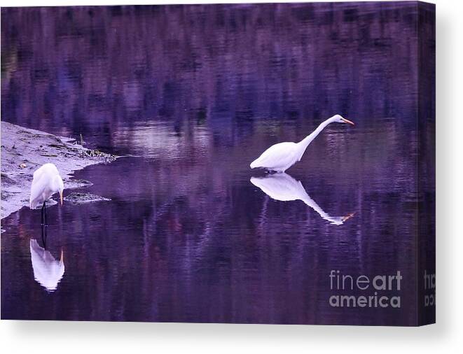 Landscape Canvas Print featuring the photograph Reflections by Sheila Ping