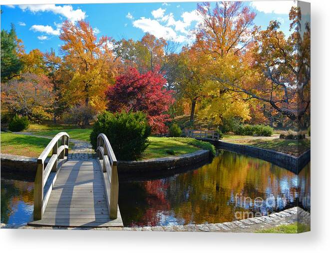 Nature Canvas Print featuring the photograph Return to Autumn by Tammie Miller