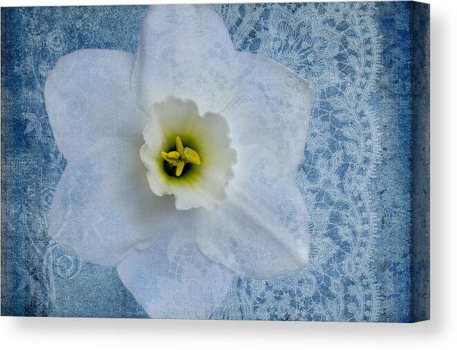 White Daffodil Flower Canvas Print featuring the photograph Sapphire Lace by Marina Kojukhova