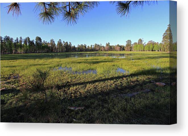 Landscape Canvas Print featuring the photograph Rim Glade by Gary Kaylor