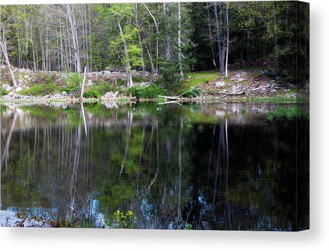 Nature Canvas Print featuring the photograph Rippled Reflections by Jeff Severson