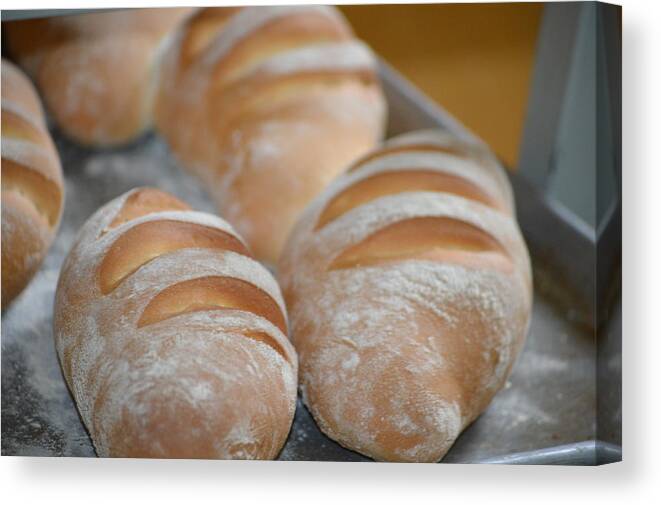 Buns Canvas Print featuring the photograph Our Daily Bread by Bill Hamilton