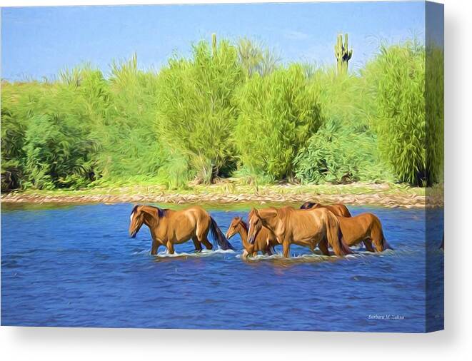 Wild Horses Canvas Print featuring the photograph River Crossing by Barbara Zahno