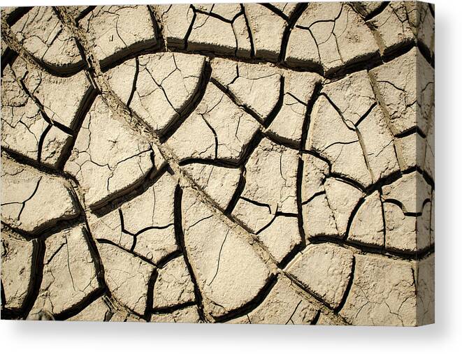 Crack Canvas Print featuring the photograph River Mud by Jeff Phillippi