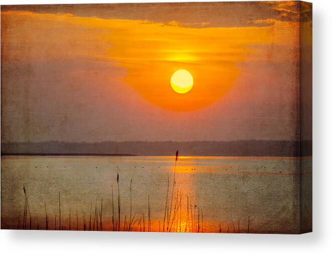 Sunset Canvas Print featuring the photograph River of Light by Cathy Kovarik