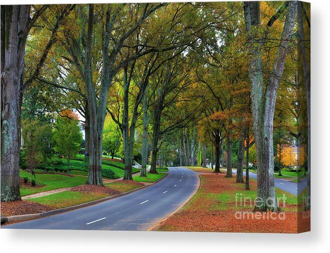 Willow Canvas Print featuring the photograph Road in Charlotte by Jill Lang
