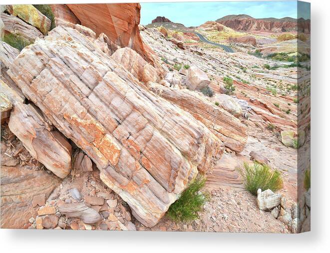 Valley Of Fire State Park Canvas Print featuring the photograph Roadside Sandstone in Valley of Fire by Ray Mathis