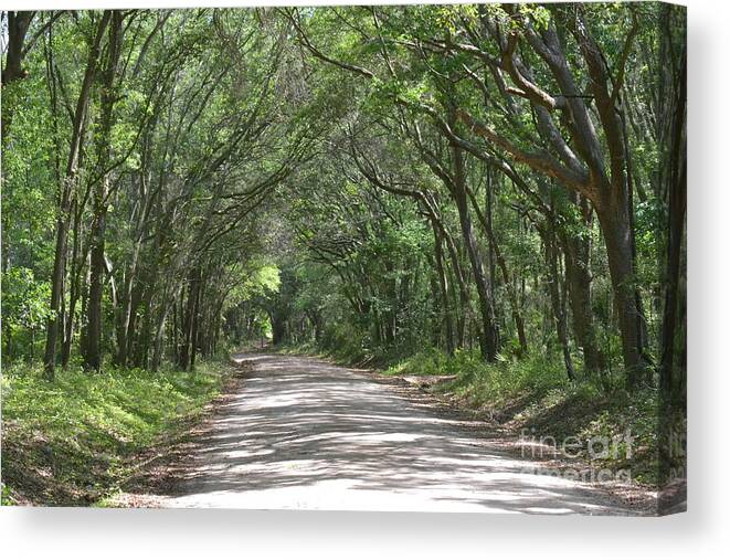 Landscape Canvas Print featuring the photograph Roadway to Mitchellville Beach by Carol Bradley