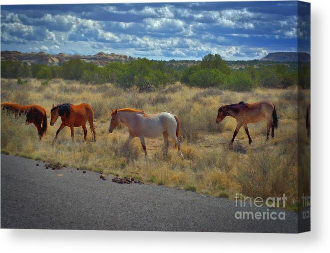 Wild Horses Canvas Print featuring the photograph Roaming Free by Berta Keeney