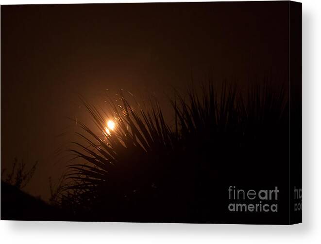 Rocket Canvas Print featuring the photograph Rocket Touching Dawn by Photos By Cassandra