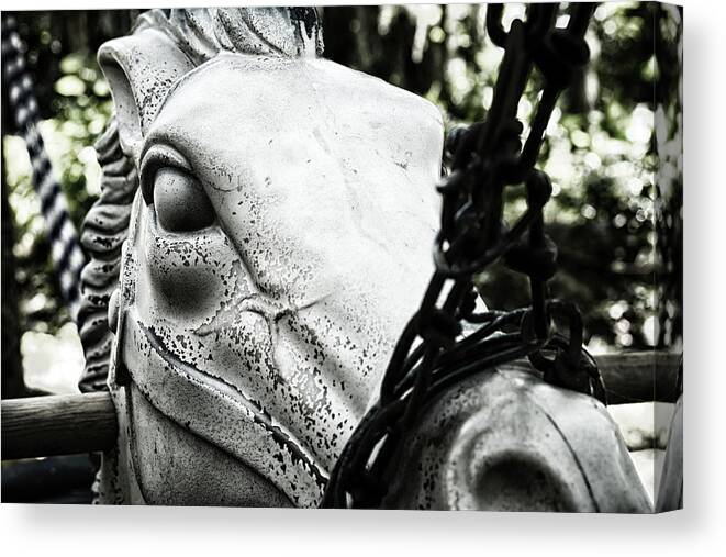 Children Canvas Print featuring the photograph Rocking Nightmare by Travis Rogers
