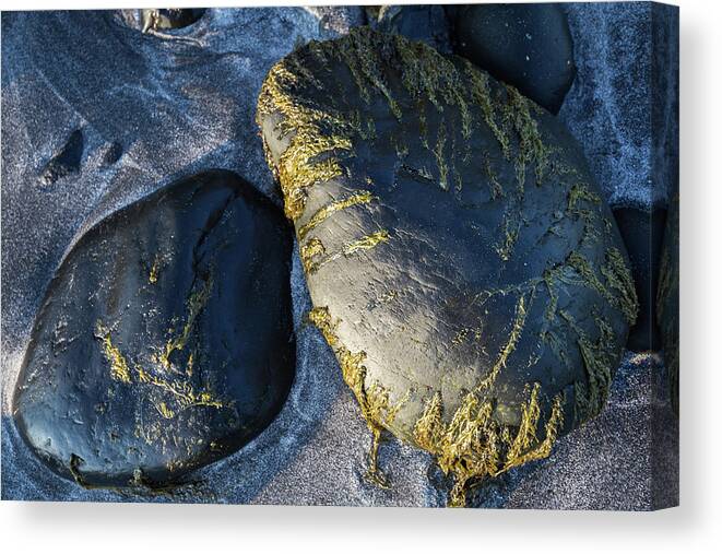 Landscape Canvas Print featuring the photograph Rocks from Talisker Beach 2 by Davorin Mance