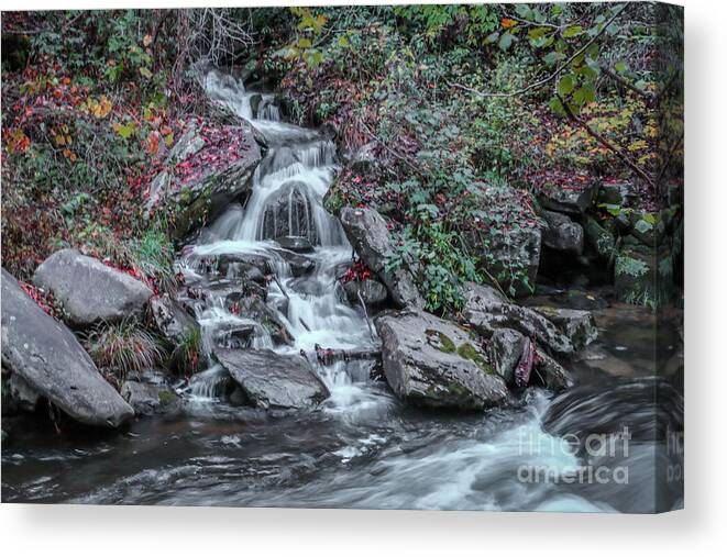 Waterfall Canvas Print featuring the photograph Rocky Falls by Tom Claud