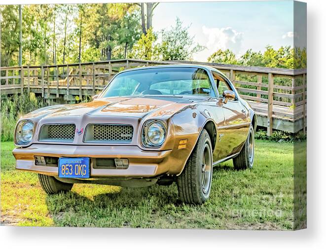 1976 Firebird Canvas Print featuring the photograph Rocky front by Brian Wright