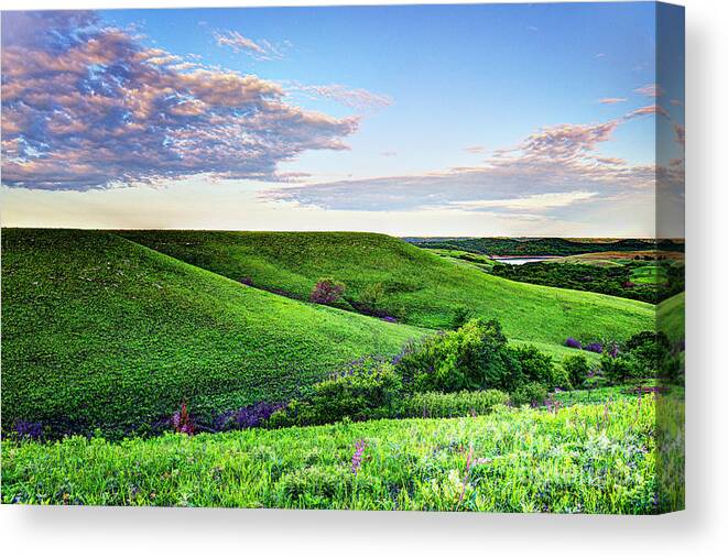 Green Canvas Print featuring the photograph Rolling Hills of Green by Jean Hutchison