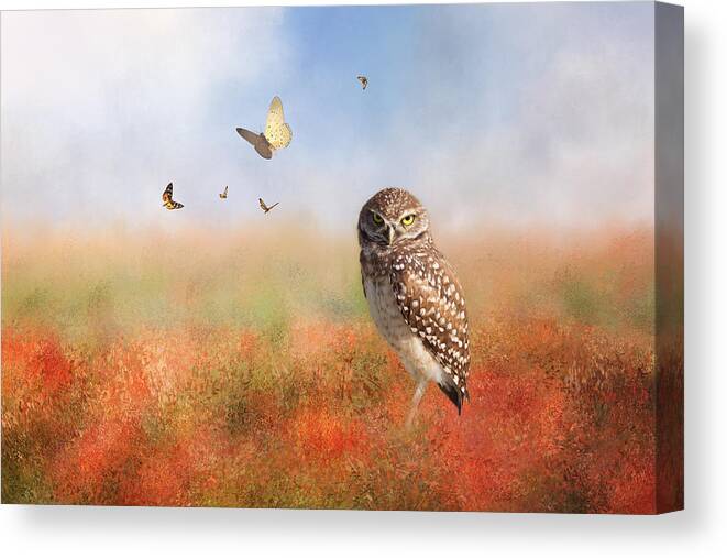 Owl Canvas Print featuring the photograph Romping In The Poppy Field by Kim Hojnacki