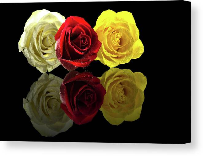 Roses Canvas Print featuring the photograph Rose Bouquet by Mike Stephens