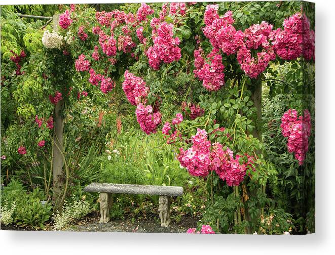 Rose Canvas Print featuring the photograph Romantic Rose Garden by Marilyn Wilson