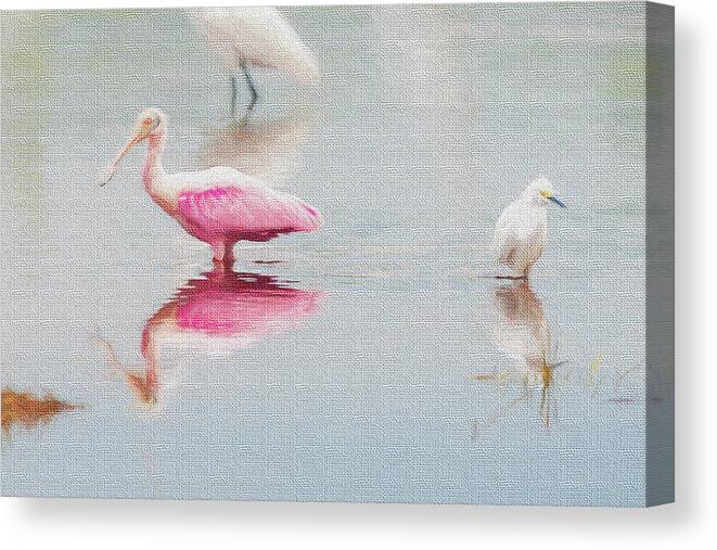 Roseate; Spoonbill; Eating; In A Lagoon Canvas Print featuring the photograph Roseate spoonbill eating in a lagoon by Dan Friend