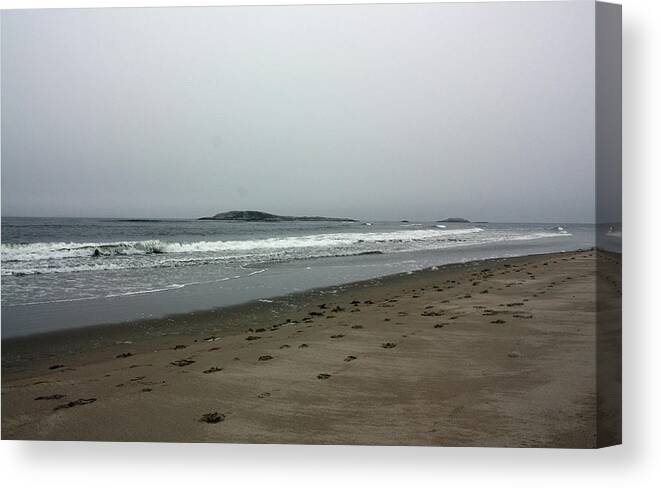 Beach Canvas Print featuring the photograph Rough by Becca Wilcox
