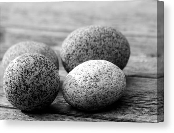  Canvas Print featuring the photograph Rounded Beach Rocks by Polly Castor
