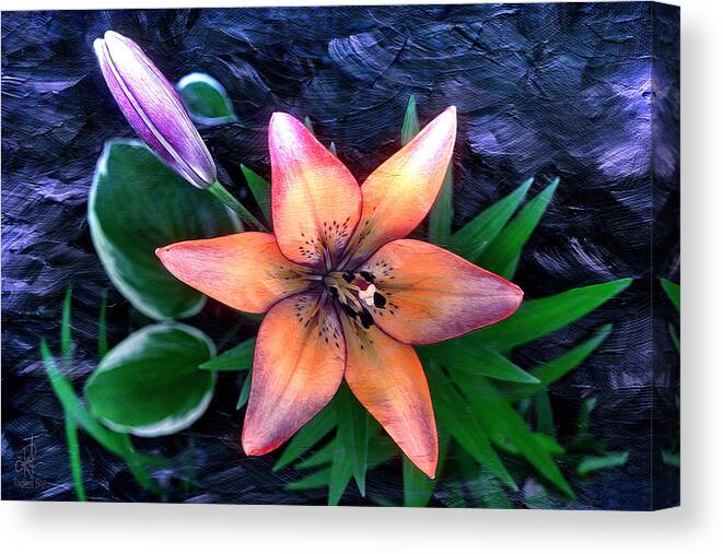 Lily Canvas Print featuring the digital art Royal Sunset by Pennie McCracken