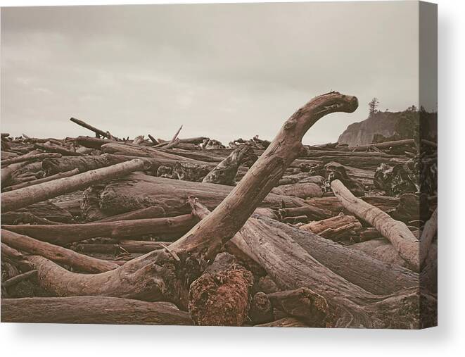Beach Canvas Print featuring the photograph Ruby Beach No. 10 by Desmond Manny