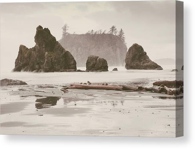 Photography Canvas Print featuring the photograph Ruby Beach No. 15 by Desmond Manny