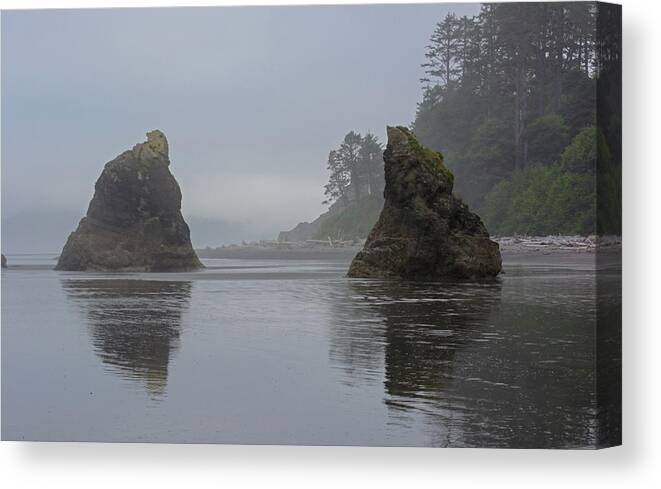 Beach Canvas Print featuring the photograph Ruby Beach Reflections by Tikvah's Hope