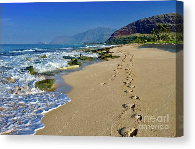 Beach Canvas Print featuring the photograph Runner's Tracks by Craig Wood