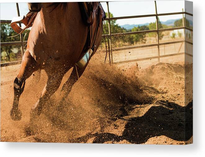 Quarter Horse Canvas Print featuring the photograph Running Home by Laddie Halupa