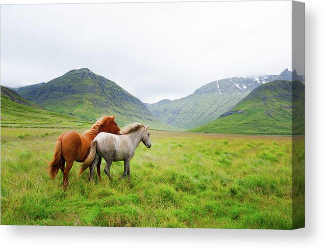 Horses Canvas Print featuring the photograph Running Up That Hill by Philippe Sainte-Laudy